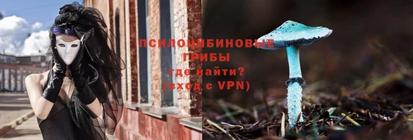 стаф Абдулино