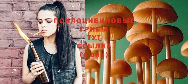 стаф Абдулино