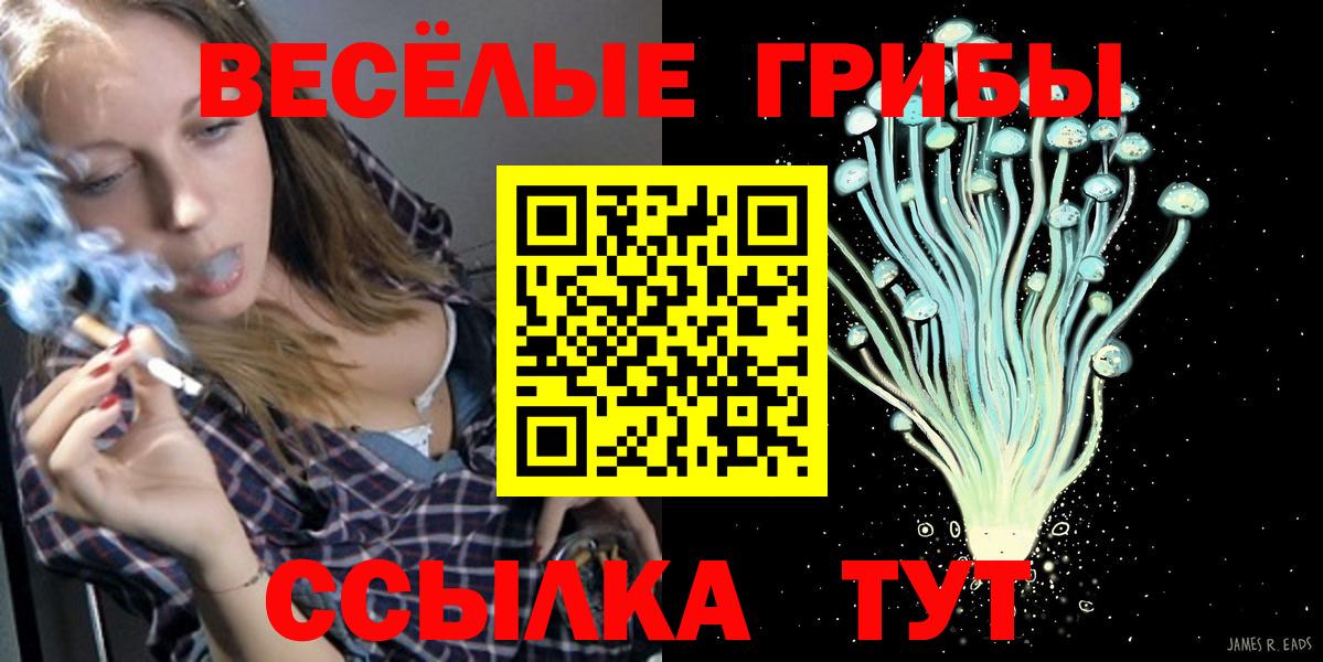 Псилоцибиновые грибы Magic Shrooms  Вход с VPN  Братск  Псилоцибиновые грибы Psilocybine cubensis 